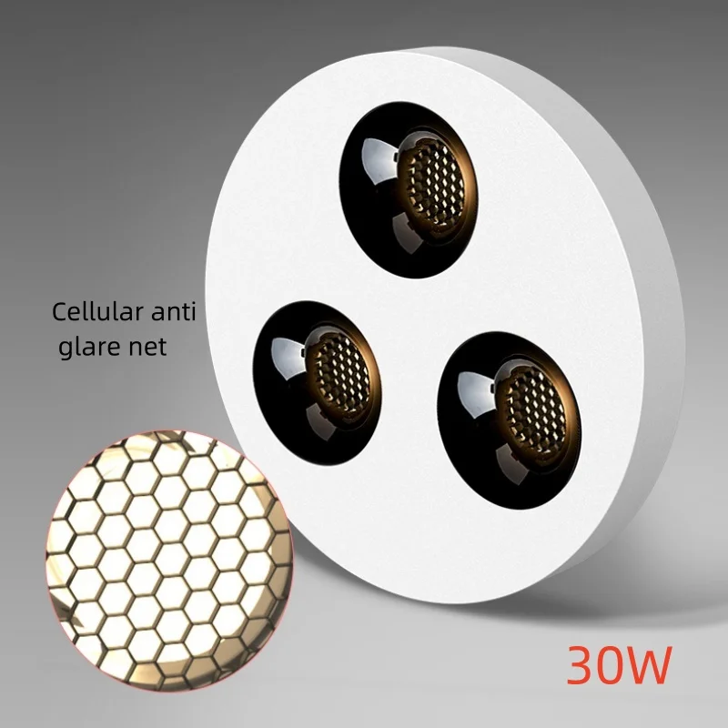 white black30W round